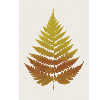 Golden Fern Leaf poster for wall - TenStickers