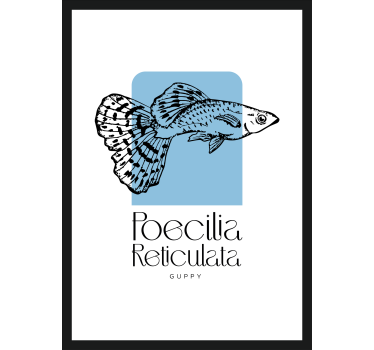 Guppy fish wall poster - TenStickers
