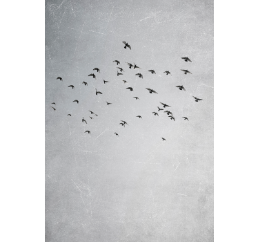 Birds flying animal design wall art - TenStickers