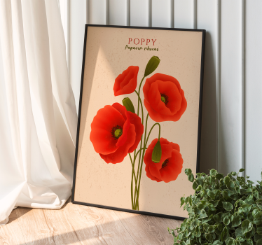 Poppy flowers poster - TenStickers