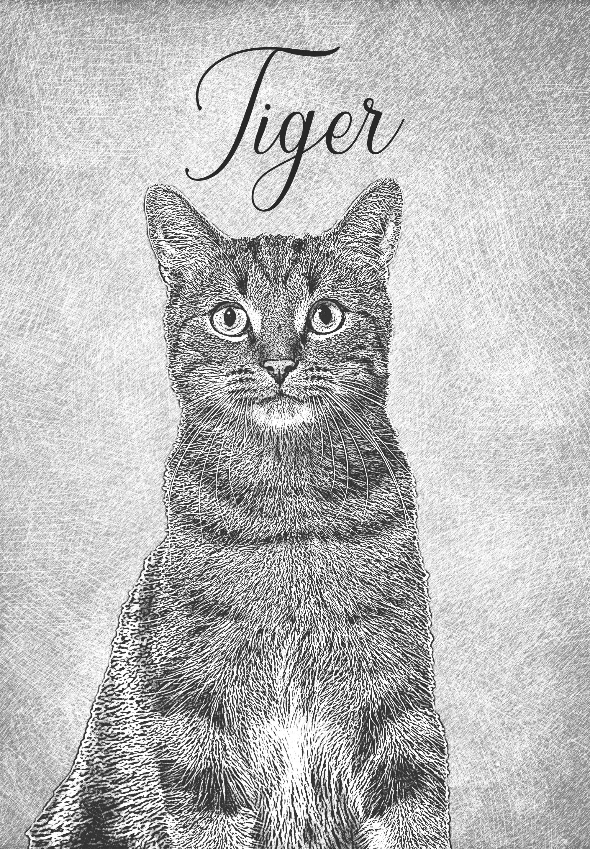 Personalised black and white drawing cat poster - TenStickers
