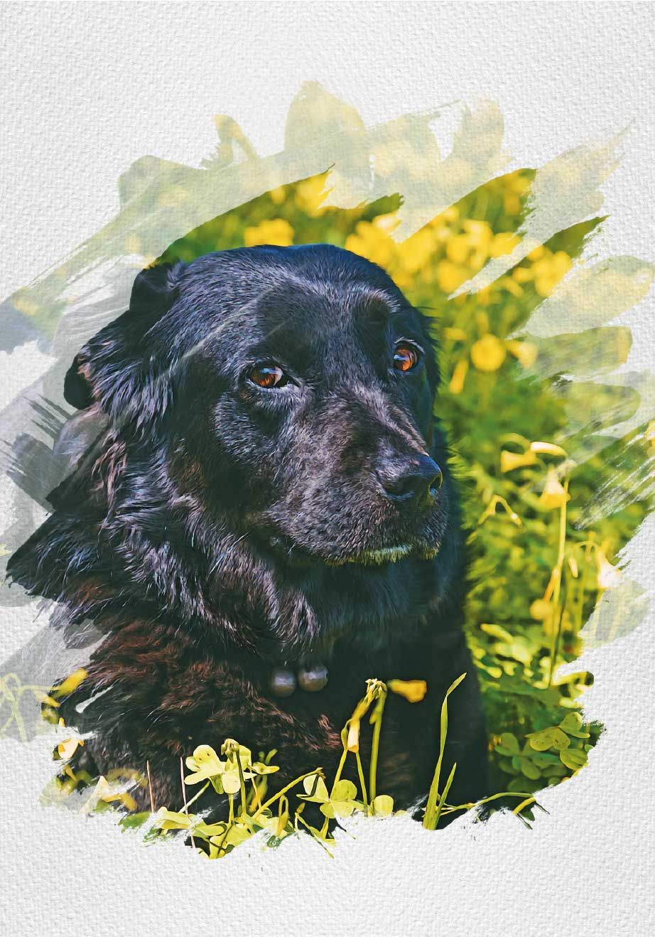 Personalised watercolour pet poster - TenStickers