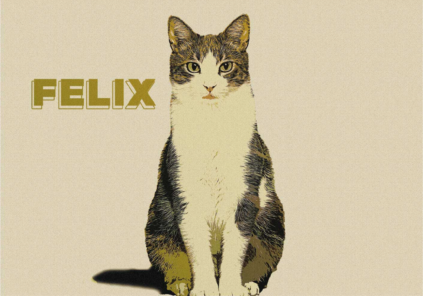 Personalised illustration half tone cat poster - TenStickers