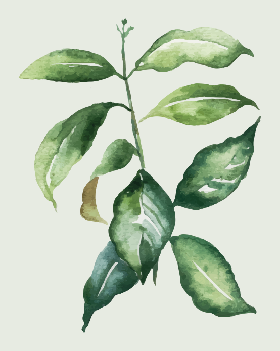 Flowers poster featuring lime palm leaf design - TenStickers