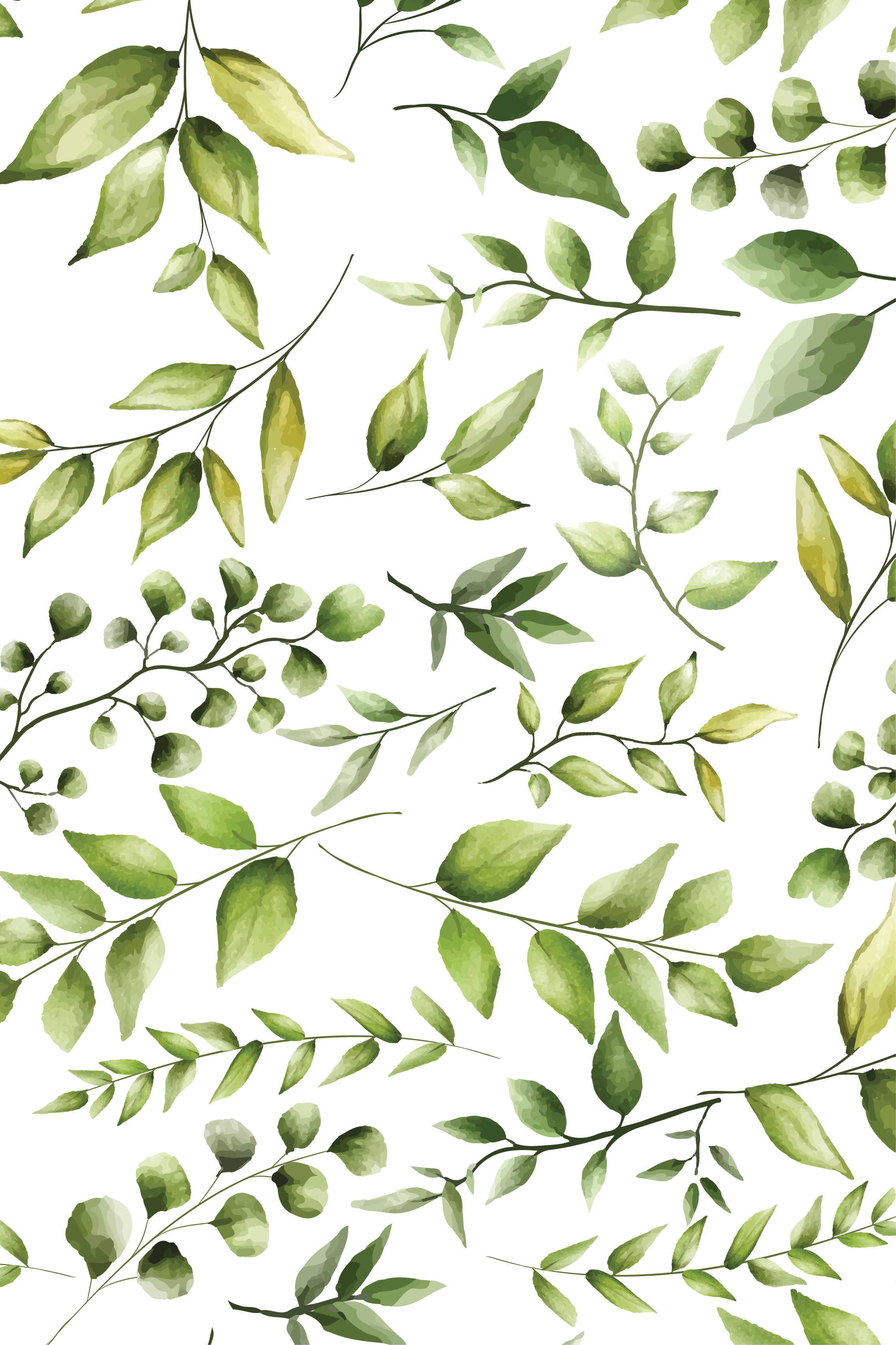 Plant poster watercolor eucalyptus leaves print - TenStickers