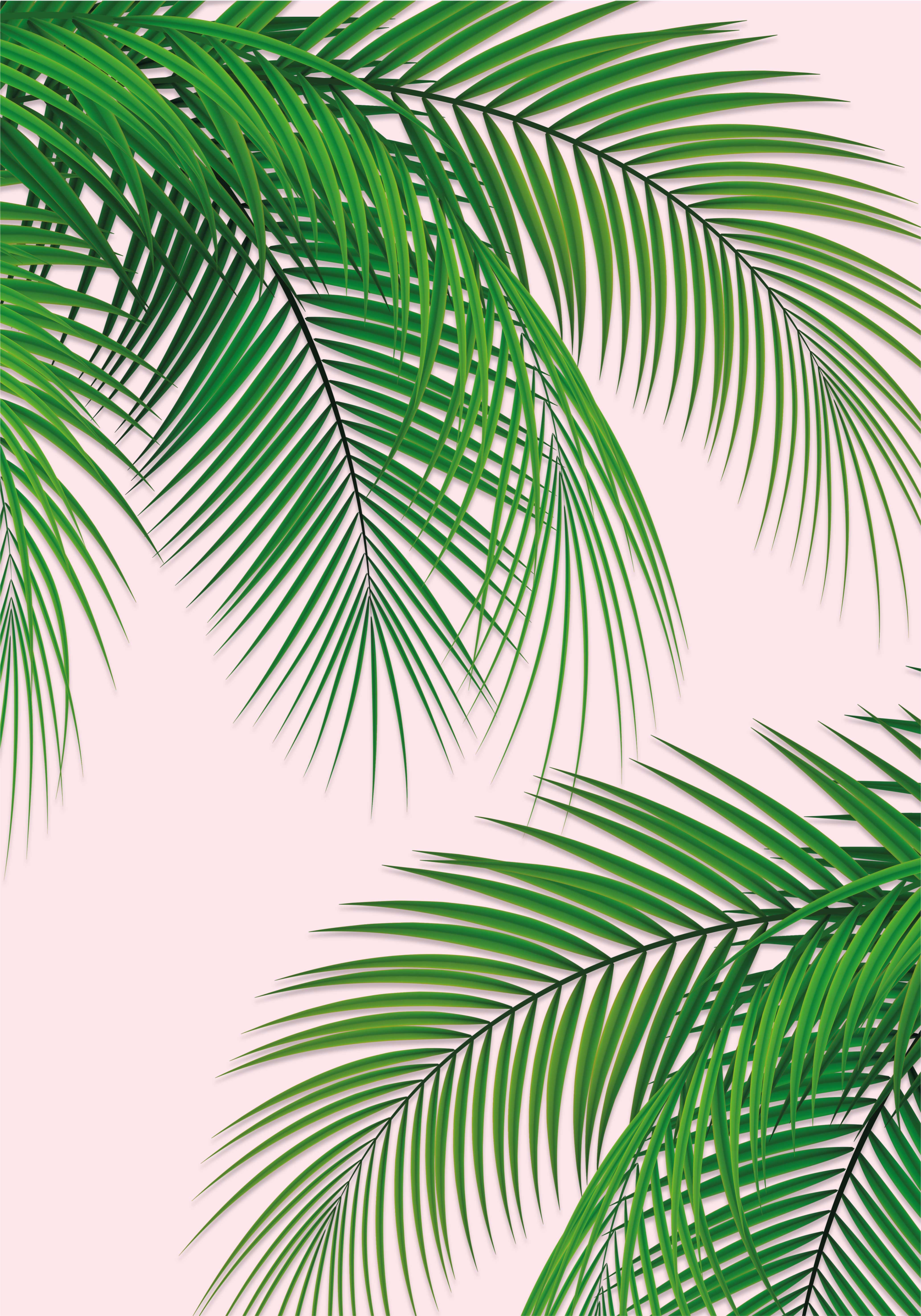 Tree poster with tropical leaf design - TenStickers