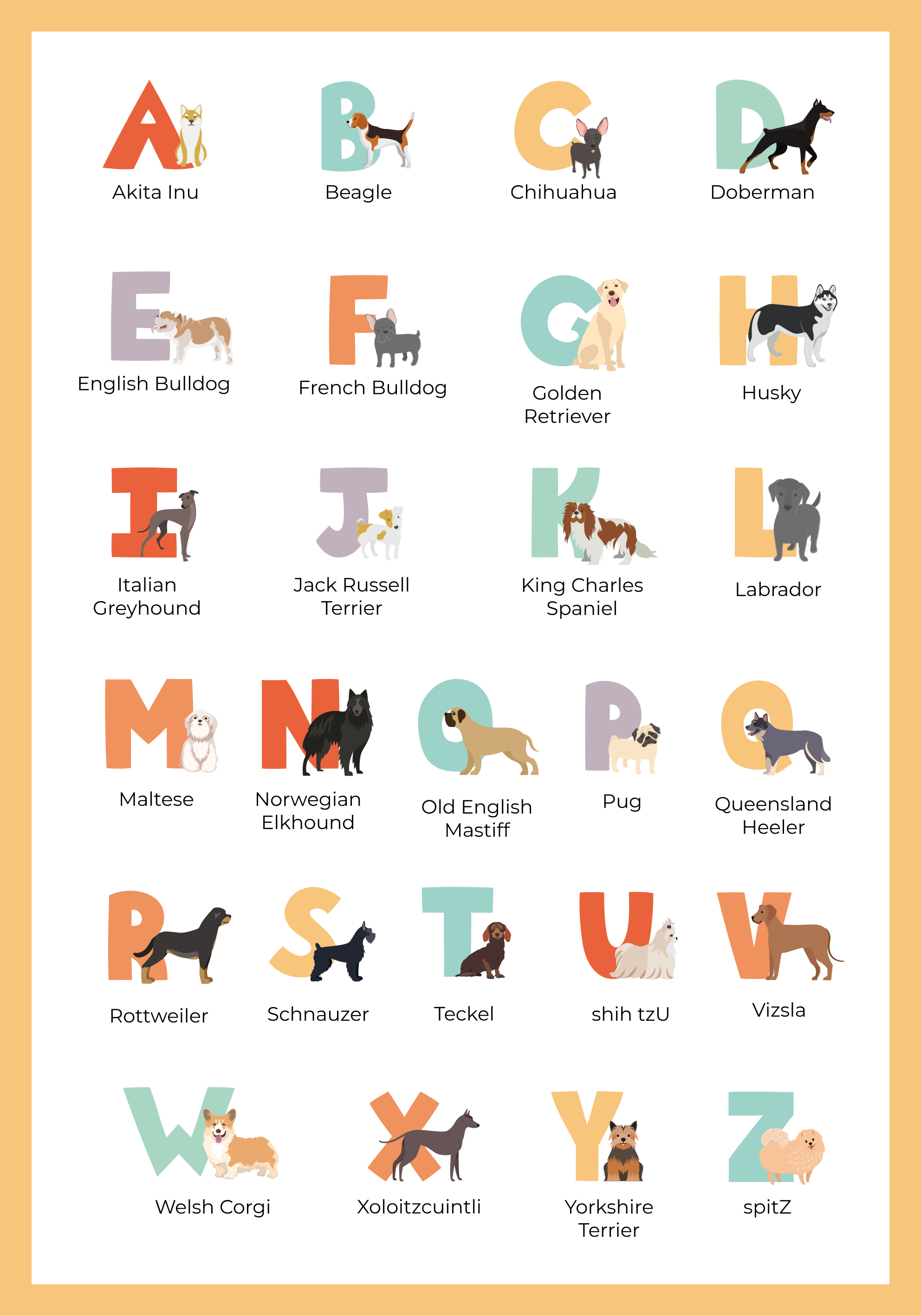 Dog breeds alphabet wall poster - TenStickers