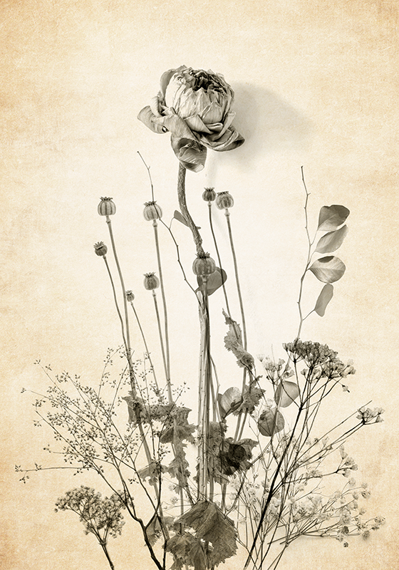 Bouquet of flowers on beige background poster - TenStickers