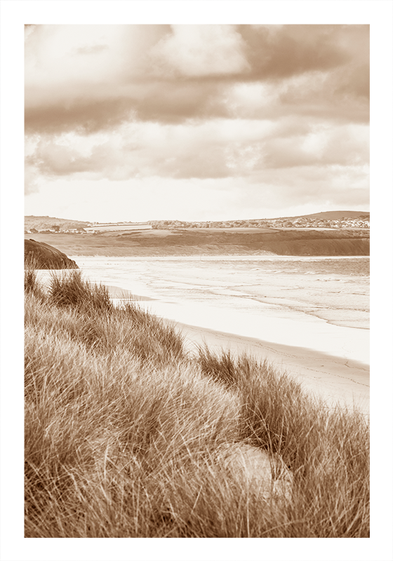 Coastal landscape sepia tones poster - TenStickers