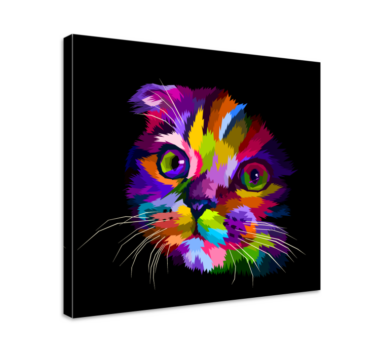 Painted Rainbow cat canvas print - TenStickers