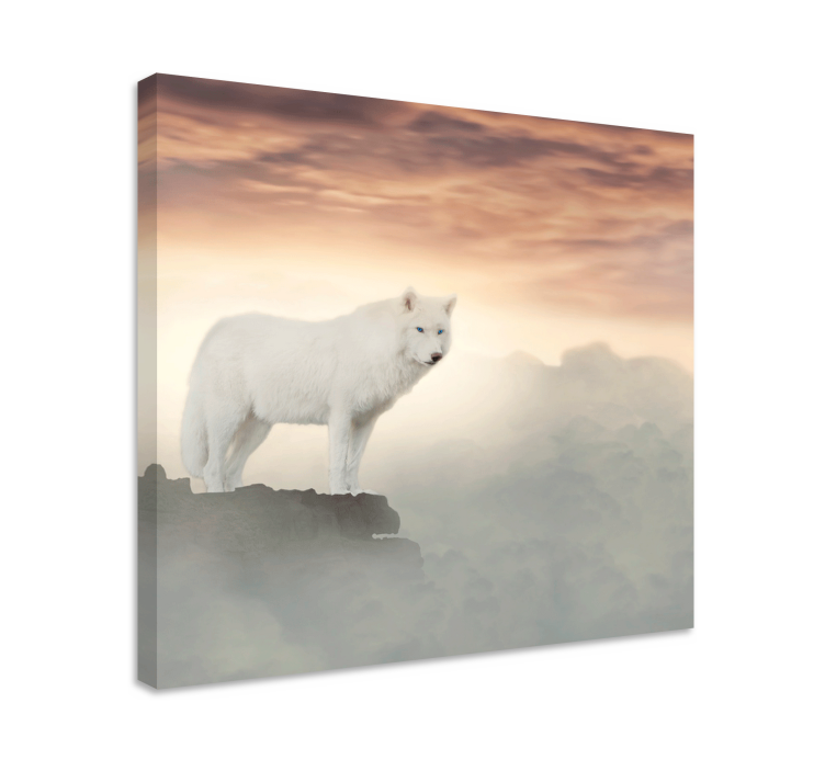 White wolf on mountain  animal canvas prints - TenStickers