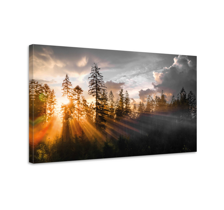Forest with fog and sun landscape canvas - TenStickers
