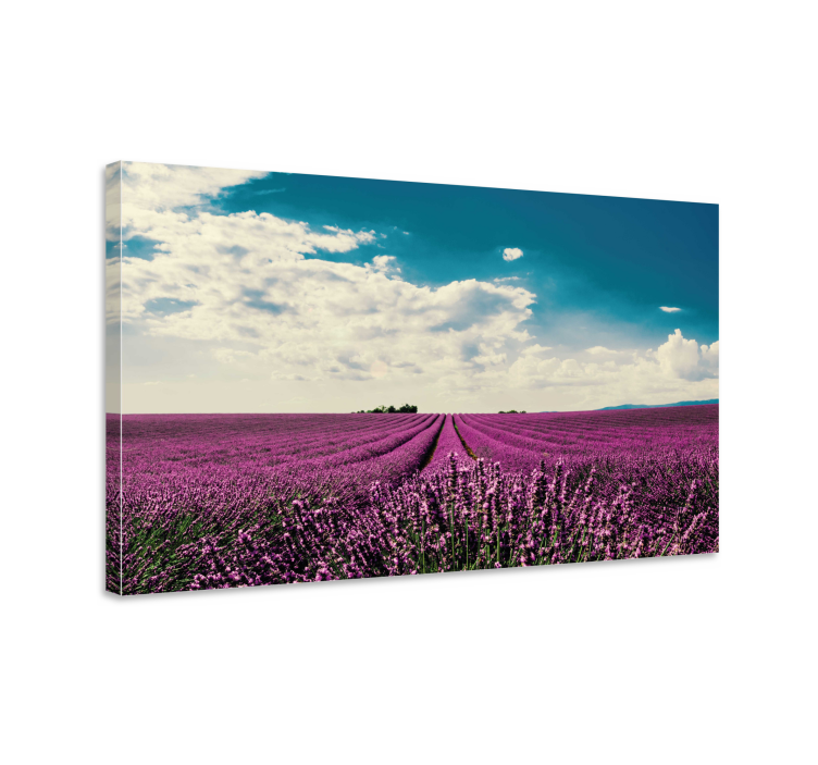 Flowers canvas lavender field landscape art - TenStickers