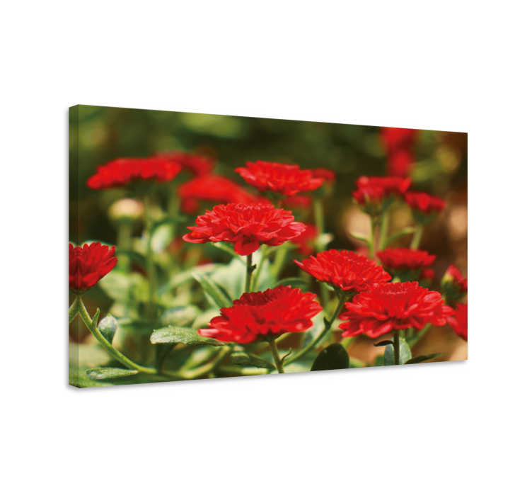 Flowers canvas red floral blooms - TenStickers