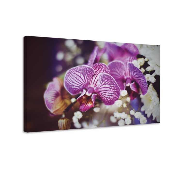 Flowers canvas orchid blooms detail - TenStickers