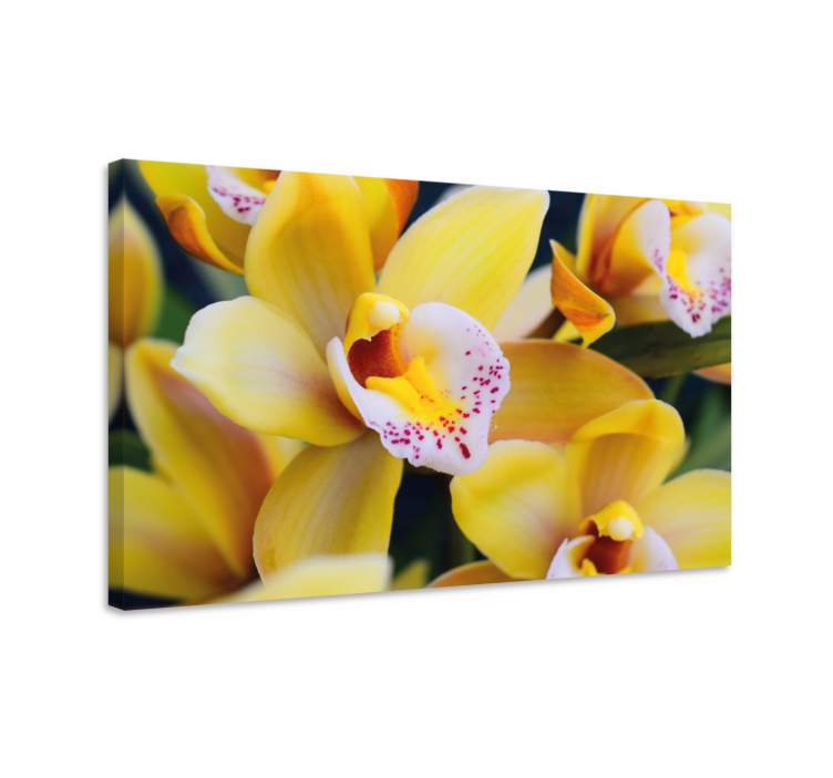 Flowers canvas vibrant orchid blossoms - TenStickers