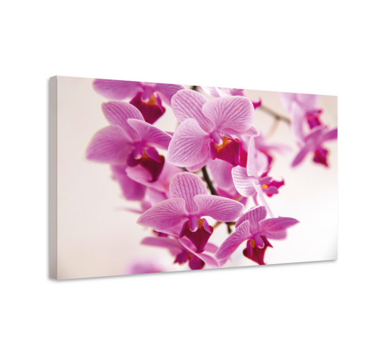 Flowers canvas delicate orchid blooms - TenStickers