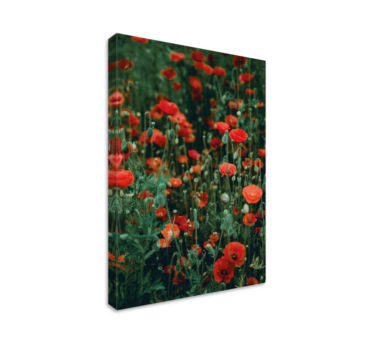 Flowers canvas red wildflowers field - TenStickers