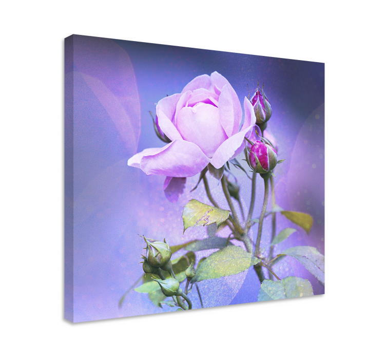 Flowers canvas pink blooming rose - TenStickers
