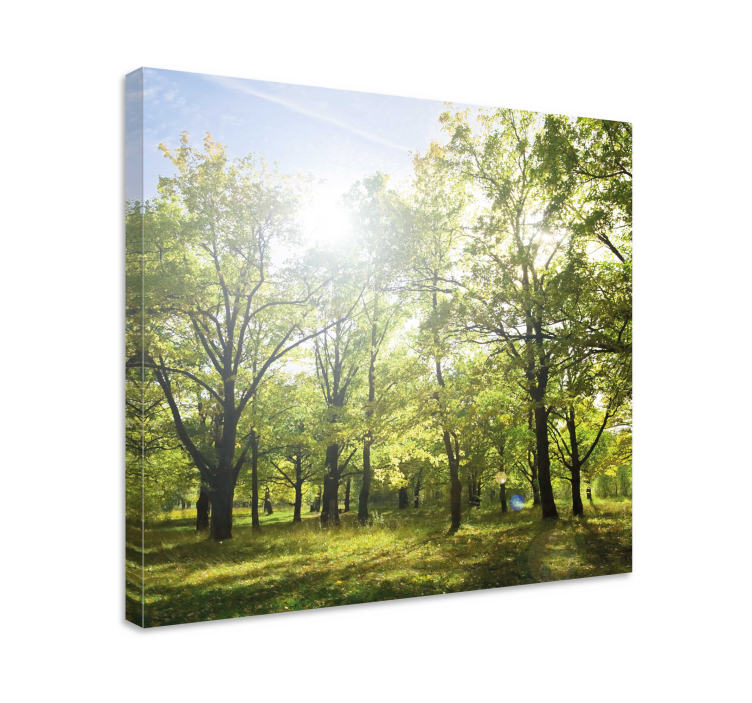 Tree canvas wall art sunlit green canopy - TenStickers