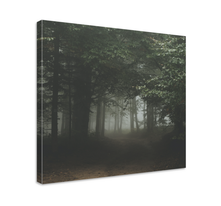 Landscape canvas veiled woodland path - TenStickers