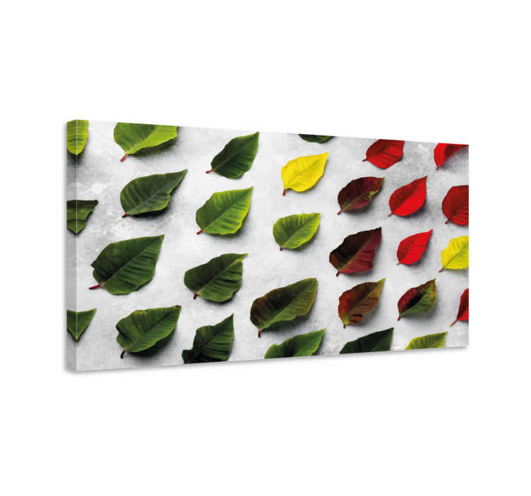 Diverse Leaf Collection Flowers  canvas - TenStickers