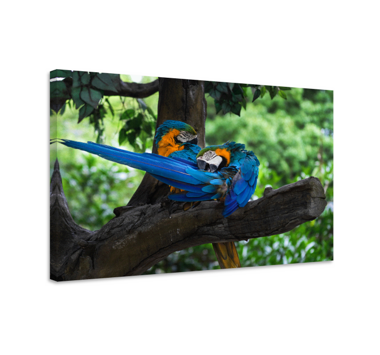 Dog wall art colorful parrots duo - TenStickers