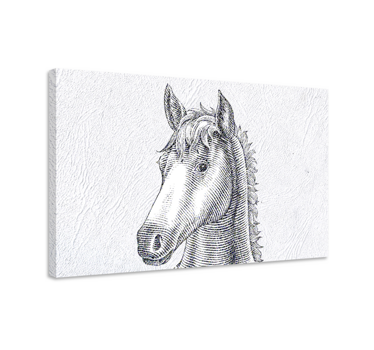 Horse wall art elegant horse drawing - TenStickers