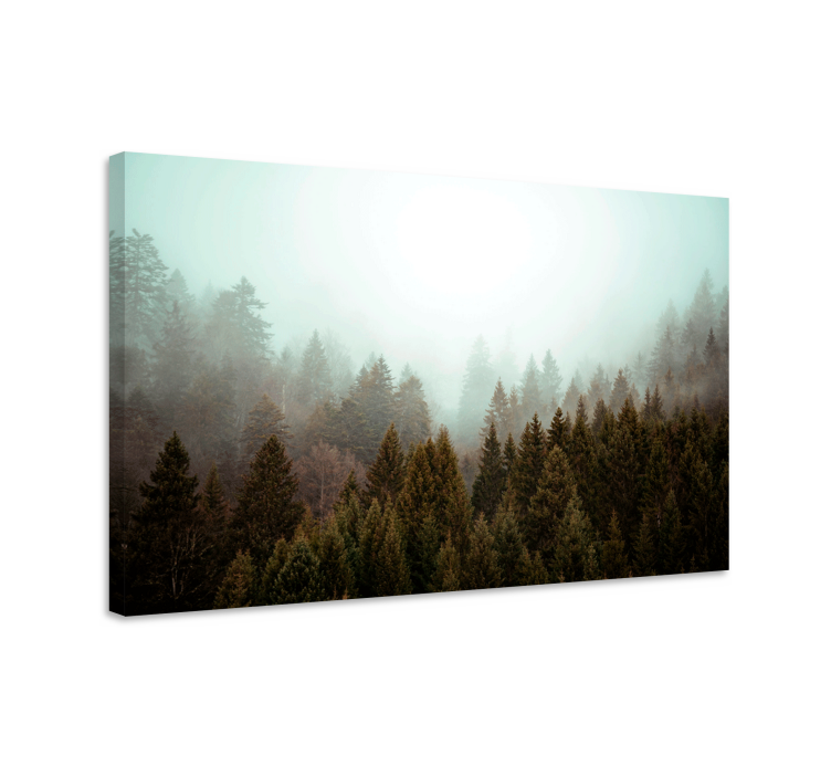 Misty woodland view landscape canvas - TenStickers