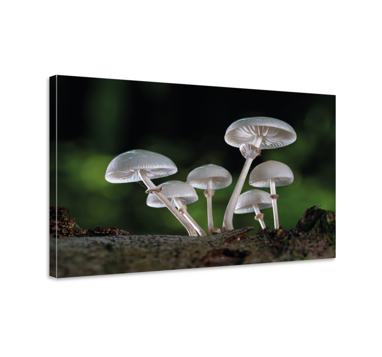 Flowers canvas mushroom forest scene - TenStickers