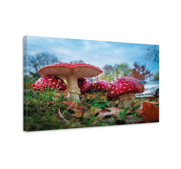 Red fly mushroom canvas art prints - TenStickers