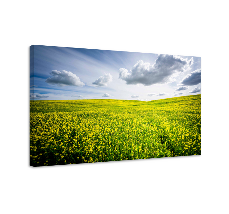 Vibrant yellow field landscape canvas - TenStickers