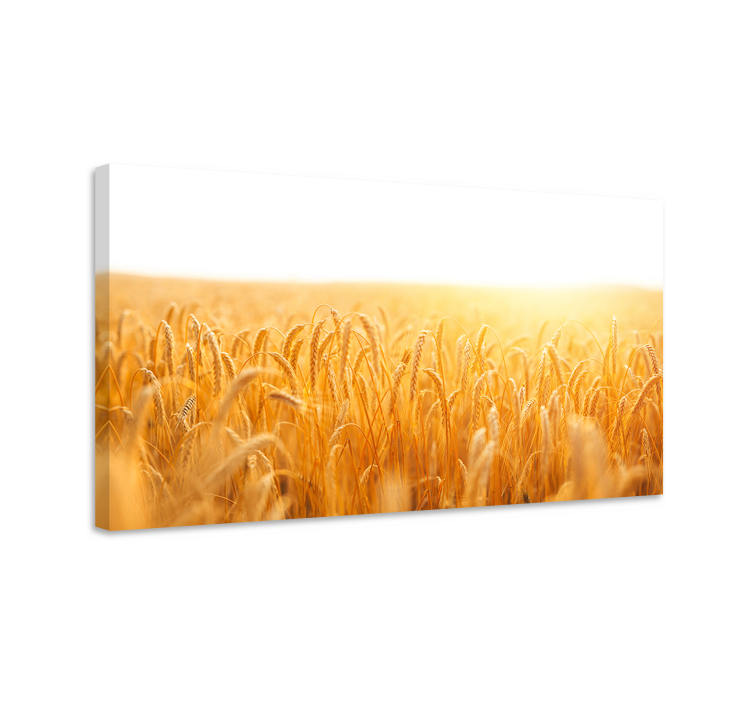 Golden Wheat Field Flowers  canvas - TenStickers