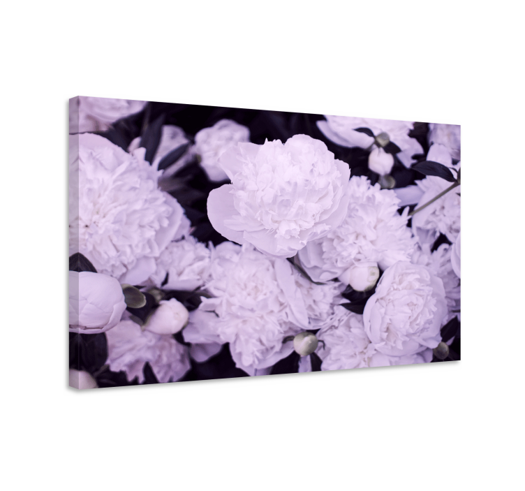 Flowers canvas purple peony blooms - TenStickers