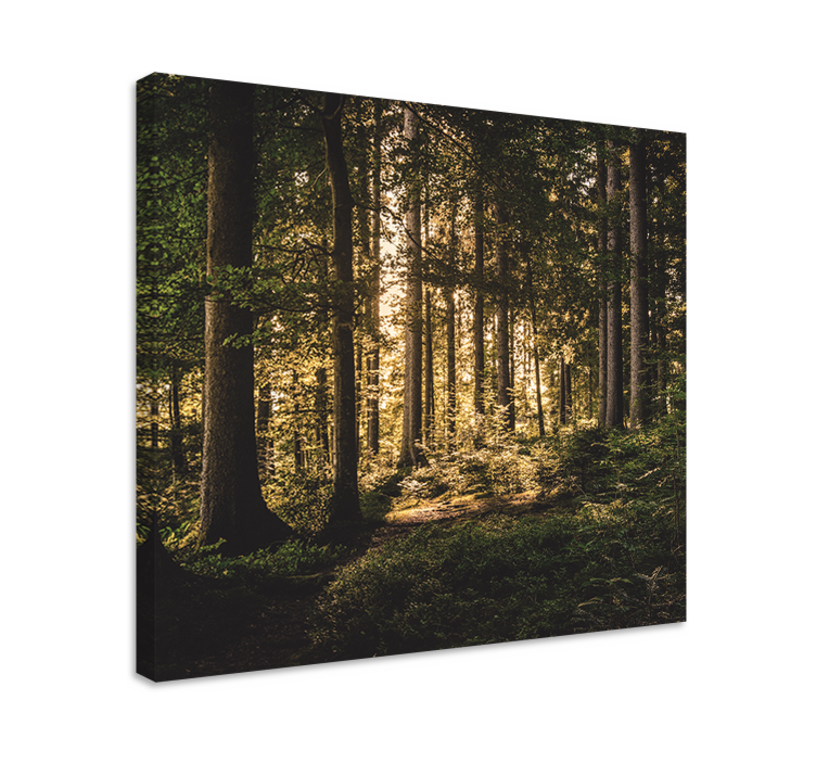 Landscape canvas luminous forest scenery - TenStickers
