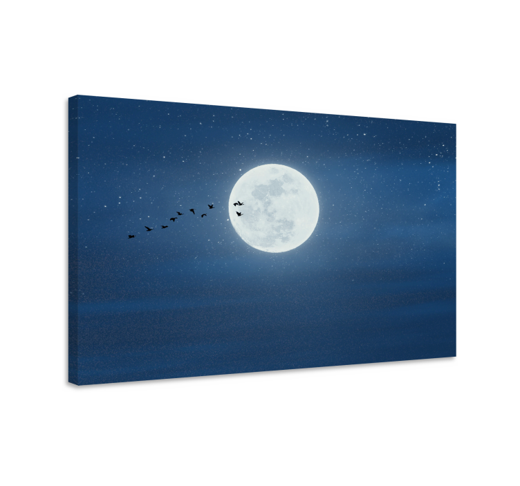 Landscape canvas moonlit flight - TenStickers