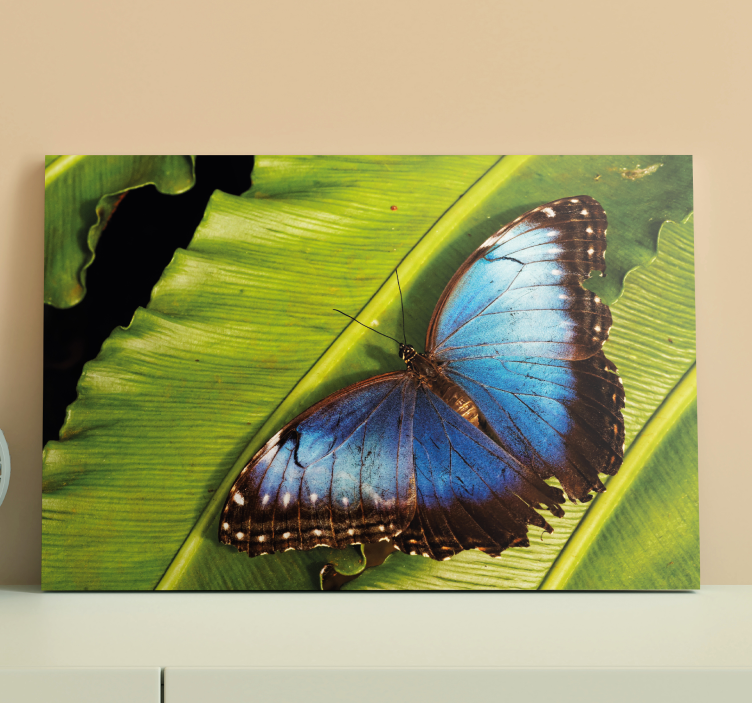 Butterfly canvas butterfly on leaf - TenStickers