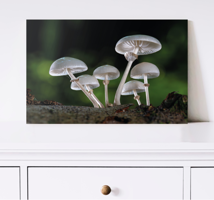 Flowers canvas mushroom forest scene - TenStickers