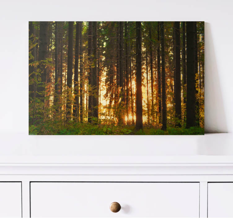 Forest trees with sun rays wall canvas - TenStickers