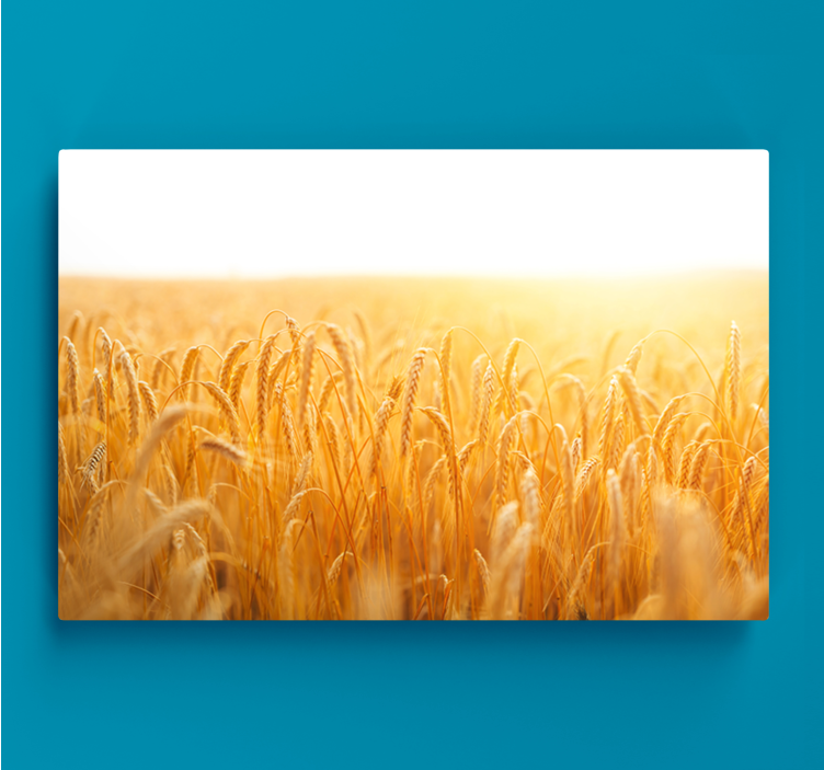 Golden Wheat Field Flowers  canvas - TenStickers