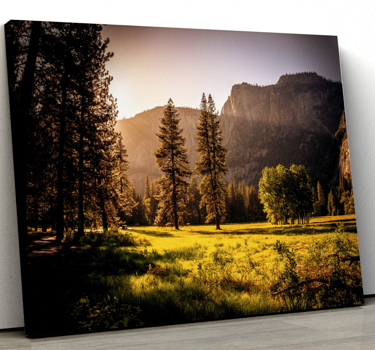 Mountain view sun grass landscape canvas - TenStickers