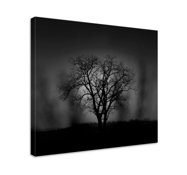 Misty tree  Tree canvas print - TenStickers