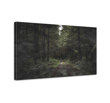 Landscape canvas forest pathway serenity - TenStickers