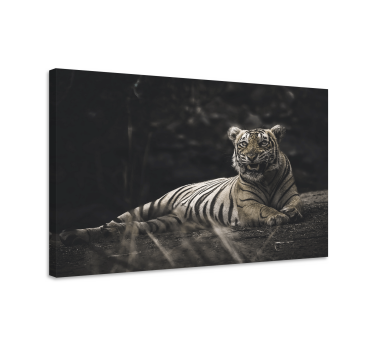 Tiger lied down animal canvas print - TenStickers