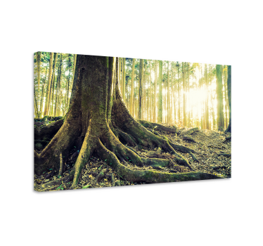 Golden forest with sun's rays  landscape wall canvas - TenStickers