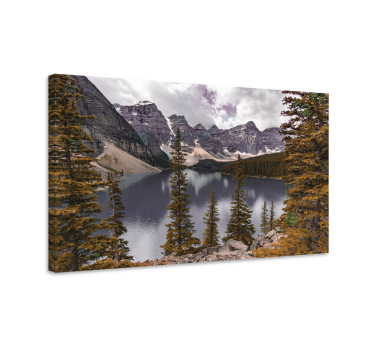 Canadian forest aesthetic photography landscape wall canvas - TenStickers