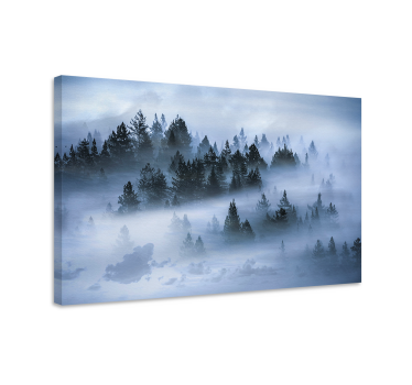 Misty pine forest landscape canvas - TenStickers