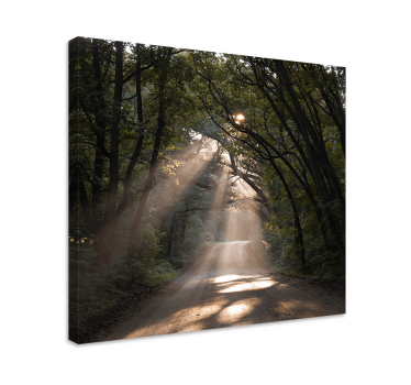 "Nature" dirt road in the forest Tree canvas print - TenStickers