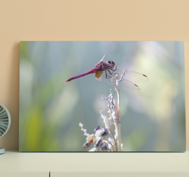 Dragonfly canvas elegant dragonfly resting - TenStickers