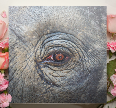 Elephant wallart elephant eye detail - TenStickers